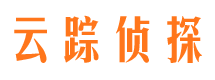 新河市侦探